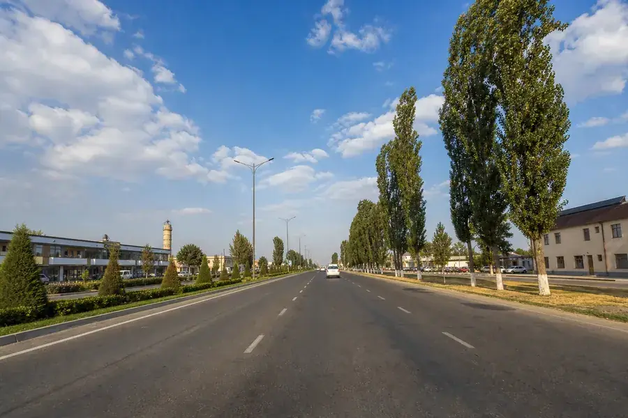 Фаргона йули